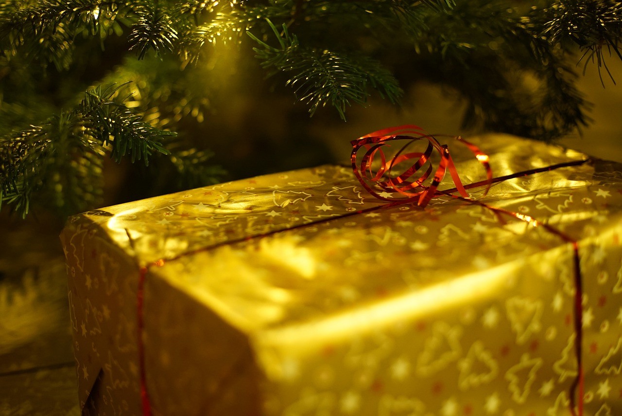 Tu mejor regalo de Navidad: la alarma para el hogar de RAC ALARM